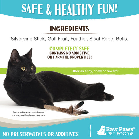 Natural Matatabi Silvervine Chew Stick Feather Cat Toy, 3-ct