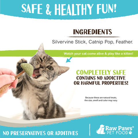Natural Catnip Lollipop Feather Cat Toys, 3-ct