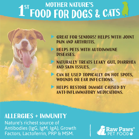 Bovine Colostrum Supplement Powder for Dogs & Cats, 5-oz