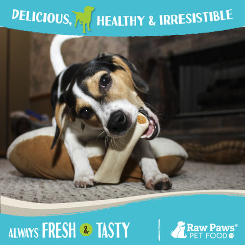 Filled Cow Femurs for Dogs - Peanut Butter Flavor, 5-6-inch - 6-ct