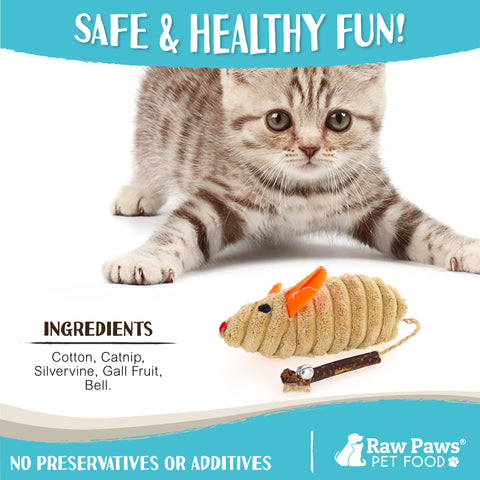 Natural Catnip Plush Mouse Cat Toys, 4-ct