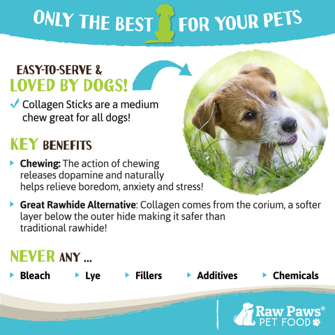 Beef Collagen Sticks for Dogs, 6-inch - 10-ct