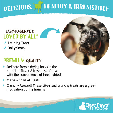 Freeze Dried Beef Liver Treats for Dogs & Cats
