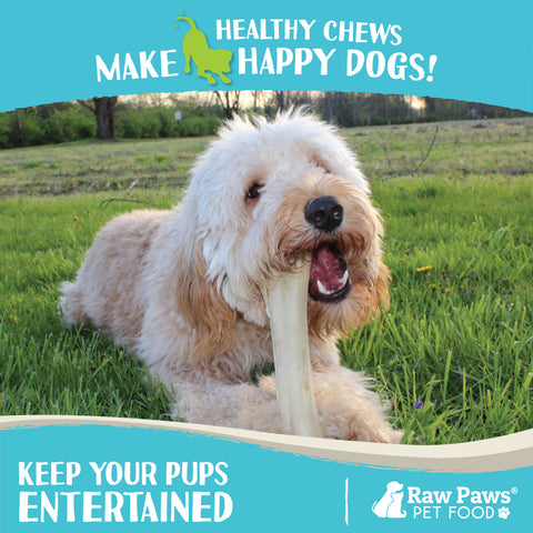 Compressed Rawhide Bones for Dogs, 10-inch - 10-ct