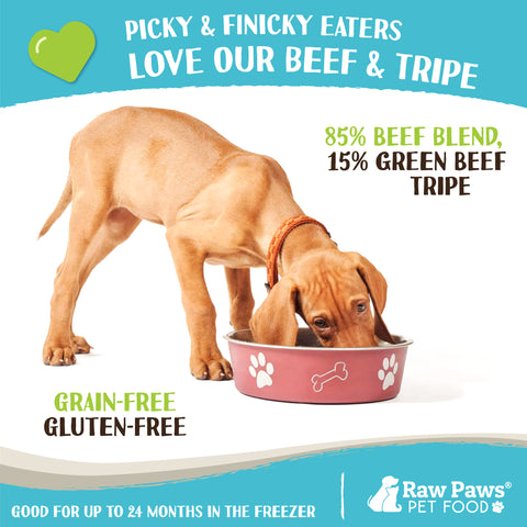 Signature Blend Pet Food for Dogs & Cats - Beef & Green Tripe Recipe, 1-lb