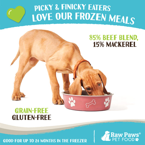 Signature Blend Pet Food for Dogs & Cats - Beef & Mackerel Recipe, 3-lb
