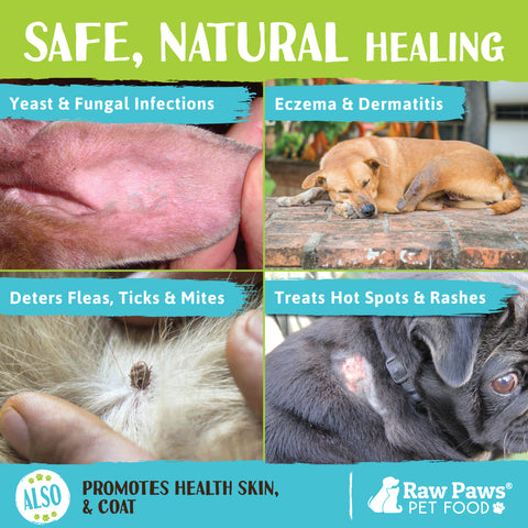 Organic Virgin Coconut Oil for Dogs & Cats