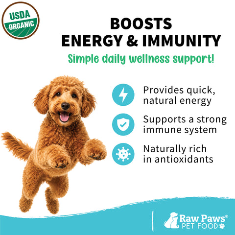 Organic Virgin Coconut Oil for Dogs & Cats