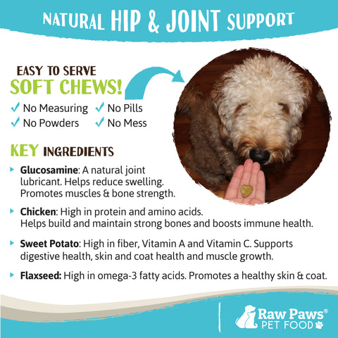 Hip & Joint Treats for Dogs, 10-oz