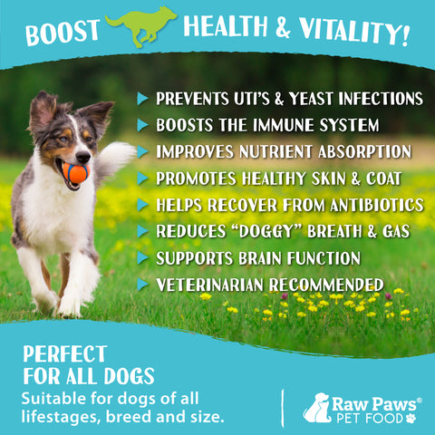 Probiotic & Prebiotic Treats for Dogs, 10-oz