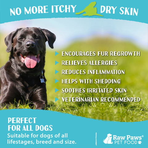 Skin & Coat Treats for Dogs, 10-oz