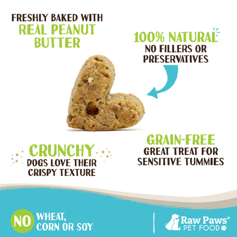 Grain-Free Biscuits for Dogs - Peanut Butter Recipe, 10-oz