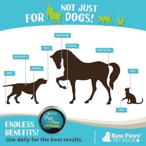 Paw, Nose and Wrinkle Wax for Dogs & Cats, 4-oz