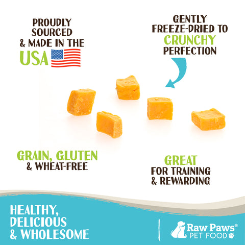 Freeze Dried Cheddar Cheese Treats for Dogs, 3 oz