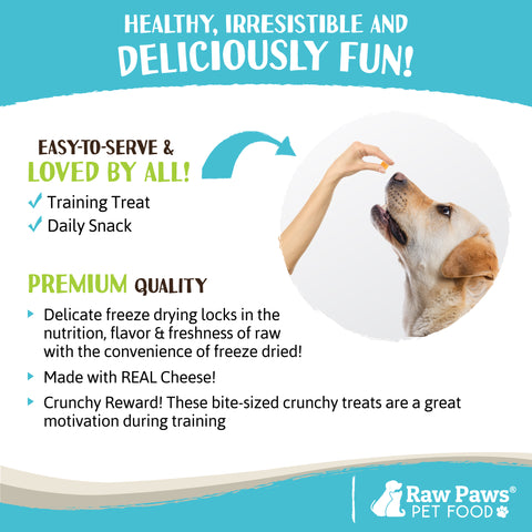 Freeze Dried Cheddar Cheese Treats for Dogs, 3 oz