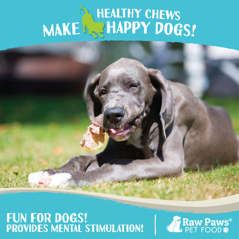 Lamb Ears for Dogs, 15-ct