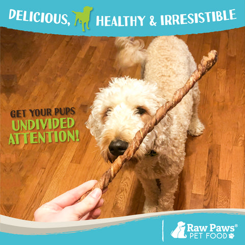 Lamb Esophagus Twists for Dogs, 12-inch - 5-ct