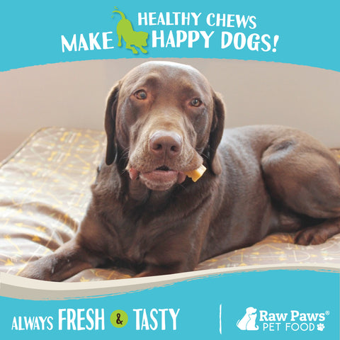 Himalayan Yak Chews for Dogs, Medium - 3-ct