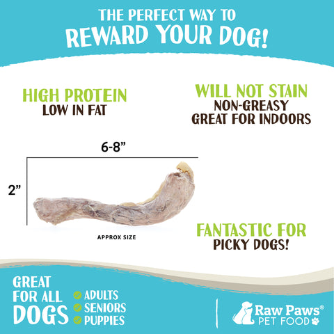 Freeze Dried Duck Necks for Dogs, 5-oz