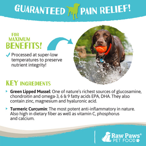 Green Lipped Mussel Hip & Joint Supplement for Dogs, 10-oz