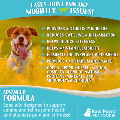 Green Lipped Mussel Hip & Joint Supplement for Dogs, 10-oz