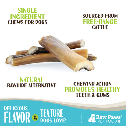 Beef Headskin for Dogs, 5-inch - 10-ct