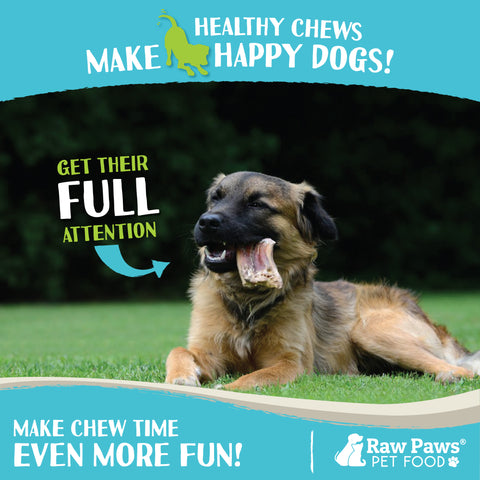 Beef Headskin for Dogs, 5-inch - 10-ct