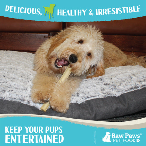 Compressed Rawhide Sticks for Dogs, 10-inch - 10-ct