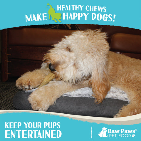 Compressed Rawhide Sticks for Dogs, 5-inch - 20-ct