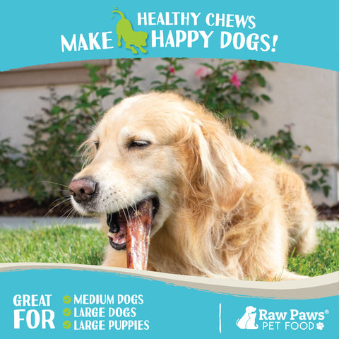 Jumbo Bully Sticks, 6-inch - 5-ct