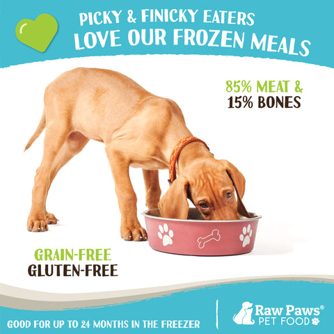 Signature Blend Pet Food for Dogs & Cats - Wild-Caught Salmon Recipe, 1-lb