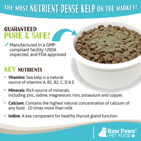 Organic Kelp for Dogs & Cats