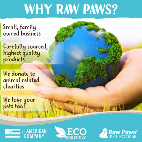 Grain-Free Soft Sausage Treats for Dogs & Cats - Beef Recipe, 6-oz