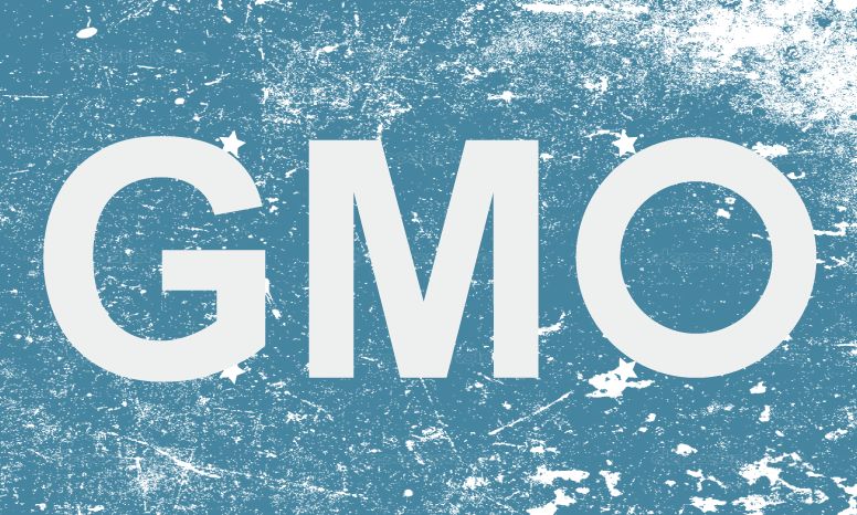 What does GMO Mean