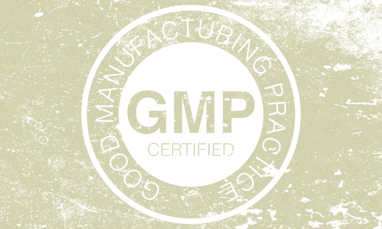What does GMP's Mean